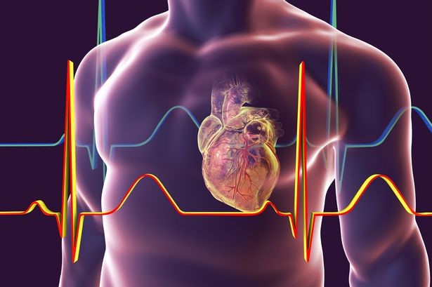 Những điều cần biết về bệnh tim - Y Khoa Hợp Nhân