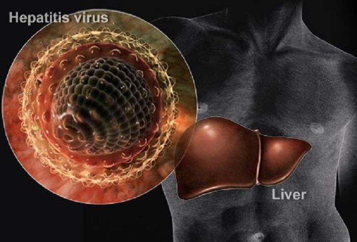 Viêm gan virus B là gì? – phần 2